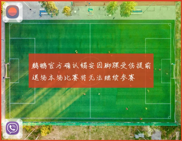 鹈鹕官方确认锡安因脚踝受伤提前退场本场比赛将无法继续参赛